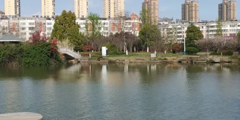 桐城市西郊公園