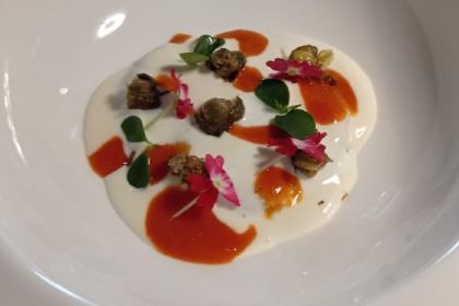 Paspalum By Riva Toscana