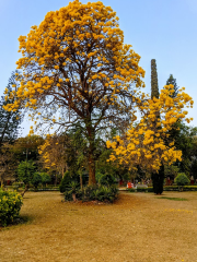 Cheluvamba Park