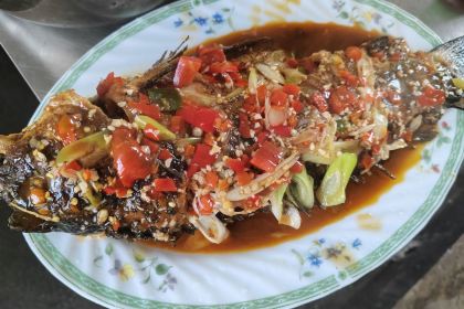 三江源農家飯莊