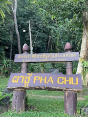 Pha Chu