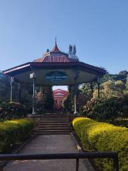 Cubbon Park