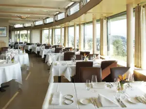Top 5 Restaurants for Views & Experiences in Zurich