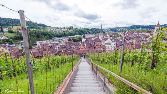 Schaffhausen