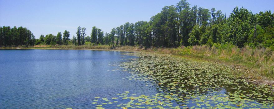 Lake Louisa State Park