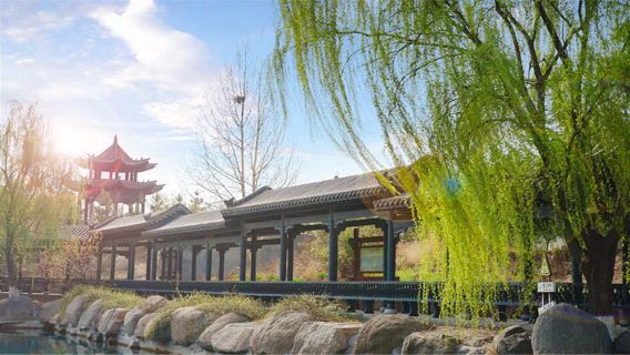 Sakura Mountain Scenic Spot