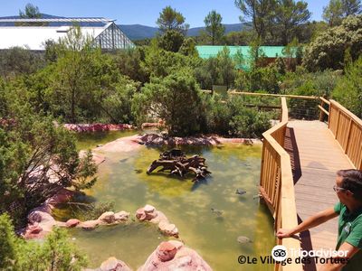 The Turtles Village of Carnoules