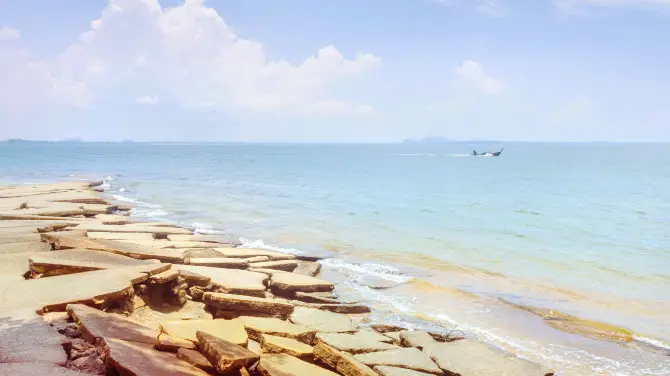 สุสานหอย 75 ล้านปี