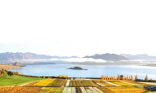 Rippon