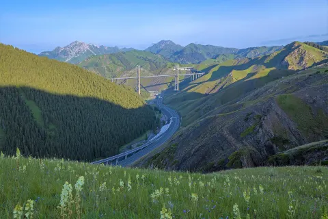Guozi Vellay