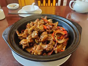 Dong Fu