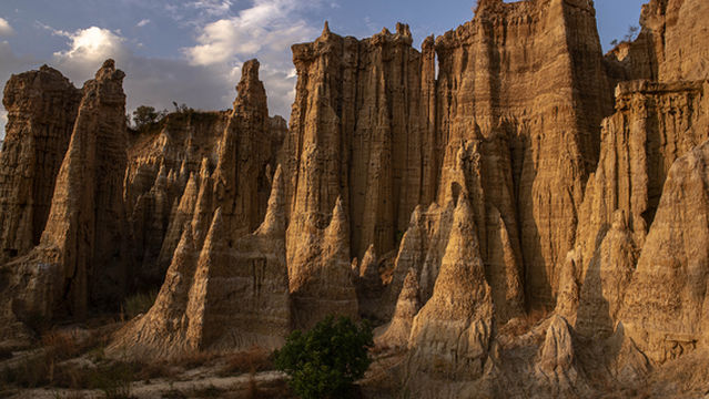 Lambapu Earth Forest - Scenic Area No. 3