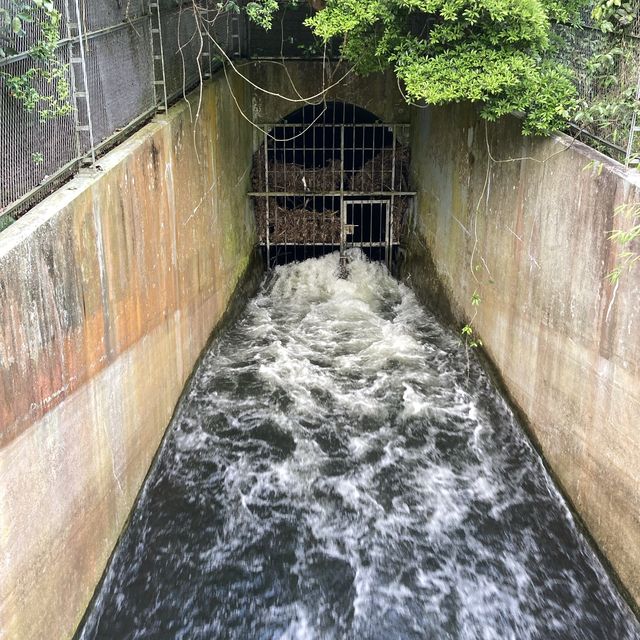 船灣淡水湖集水區