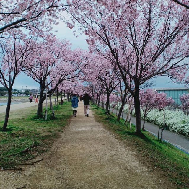 Sayamaeki museum