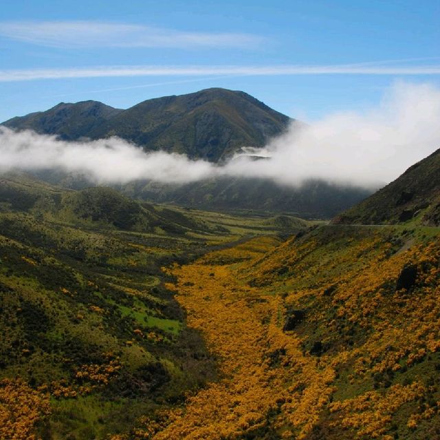 Arthur’s Pass