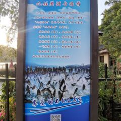 Luotong Jiuxing Fishing Village Restaurant 여행 사진