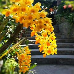梅山庄园 User Photo