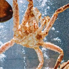 潮禧·潮汕菜(长寿路店) User Photo