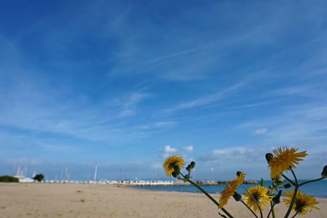Sidi Bou Sai