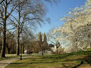 Aobagaoka Park