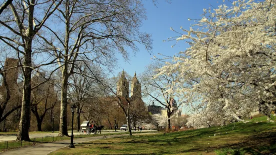 Aobagaoka Park