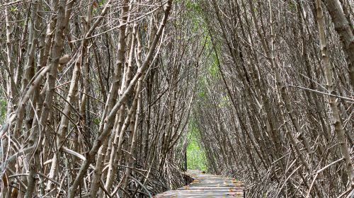 東姑阿都拉曼國家公園