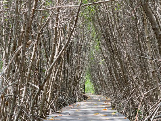 東姑阿都拉曼國家公園