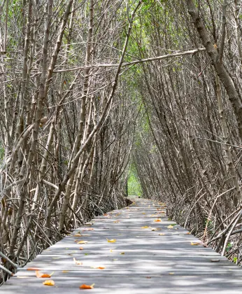 2-звездочные отели в г. Котакинабалу