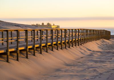 Pismo State Beach