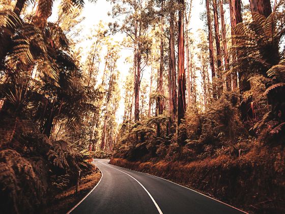 Blue Mountains National Park