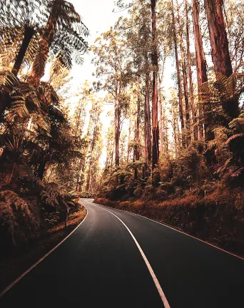 Kimpton Margot Sydney