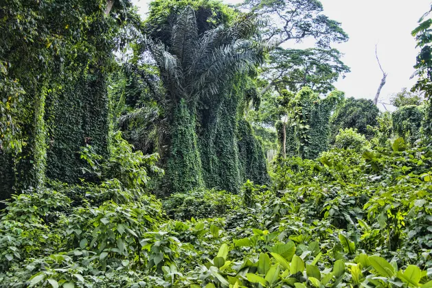 Отели с услугой фитнес-залом в г. Петалинг-Джая