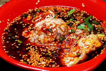 Tashuihefeichang Chicken