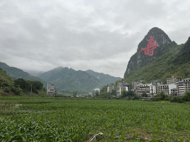Bama Longevity Village