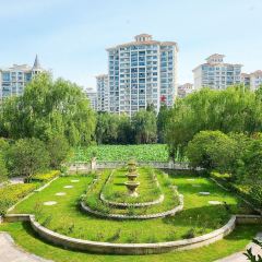 泰州碧桂園鳳凰飯店·鳳凰軒中餐廳（泰州店）張用戶圖片
