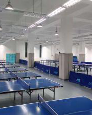 武漢市青少年宮乒乓球俱樂部