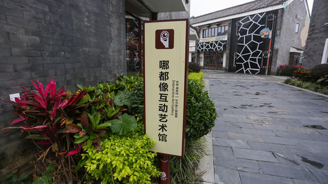 Everything Image Interactive Gallery