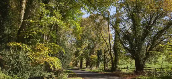 Hotels in Chipping Campden