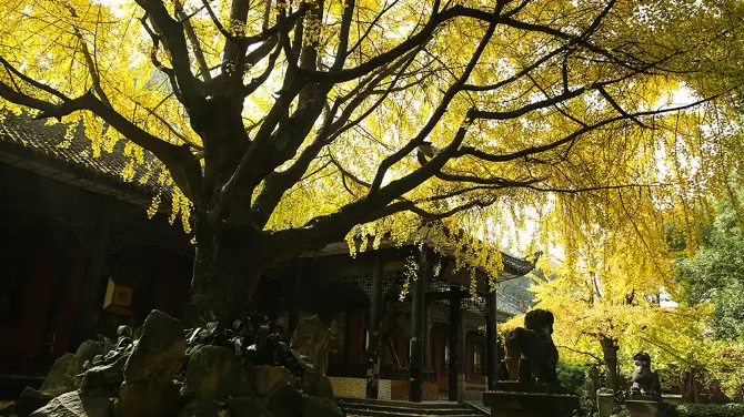 4_武侯祠