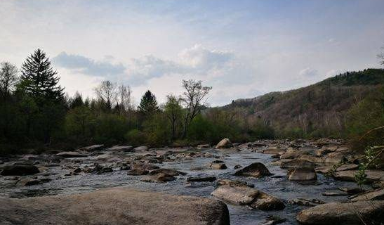 Mergus Squamatus Natural Reserve