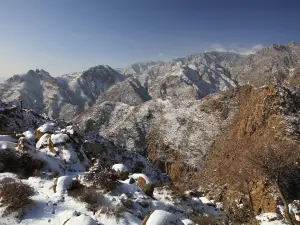 곤종구