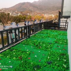 Jiemeipaidang User Photo
