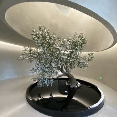 缦山·by oravida User Photo