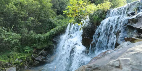 南樓山