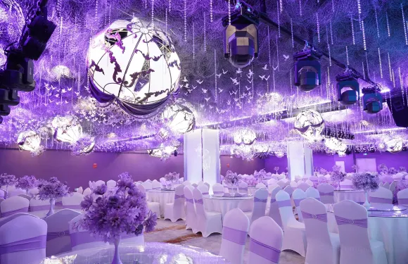 安陸禧來登國際大酒店·豪華中餐廳