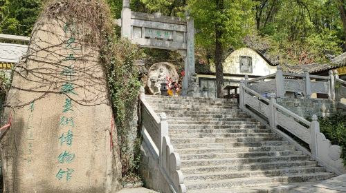 Guangshanxian Fojiao Art Museum