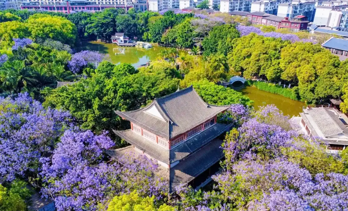 Hotels near Lujiang Park