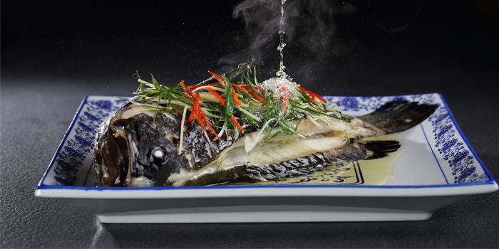 Sheraton Hong Kong Tung Chung Hotel·Cafe Lantau