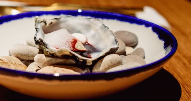 Bitxo gastroexperiències / sopar taula rodona