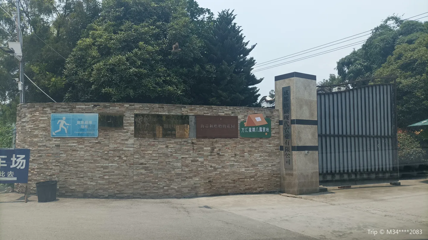 2_Heidi and the garden of the dragonfly